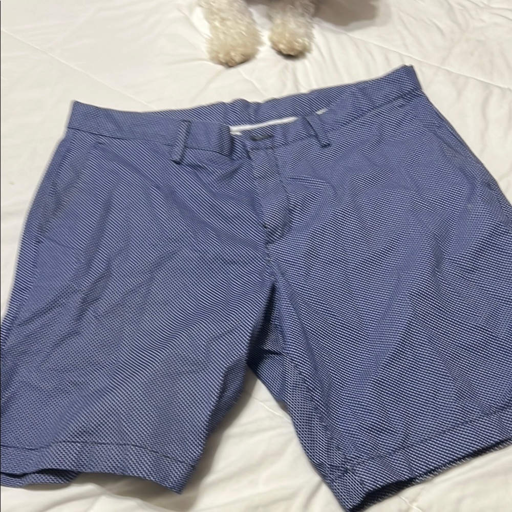 Michael Kors White Shorts with Blue Lining
